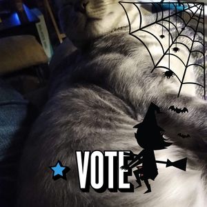 Meet your Posher, Ruth